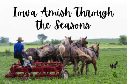 Iowa Amish Through the Seasons