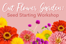 Cut Flower Garden: Seed Starting Workshop