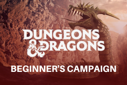 Dungeons & Dragons Beginner's Campaign