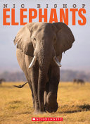 Image for "Elephants"