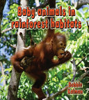 Image for "Baby Animals in Rainforest Habitats"