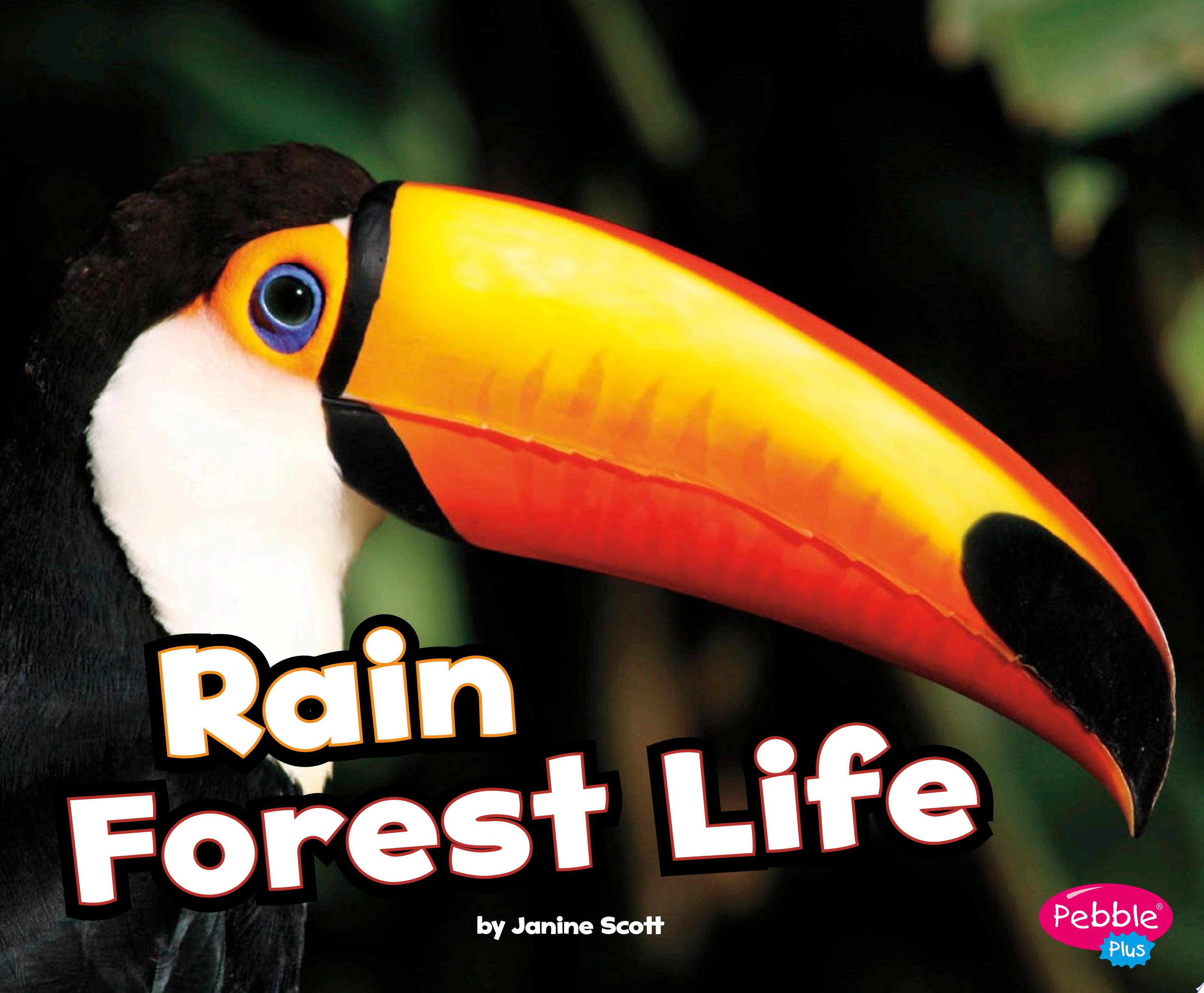 Image for "Rain Forest Life"