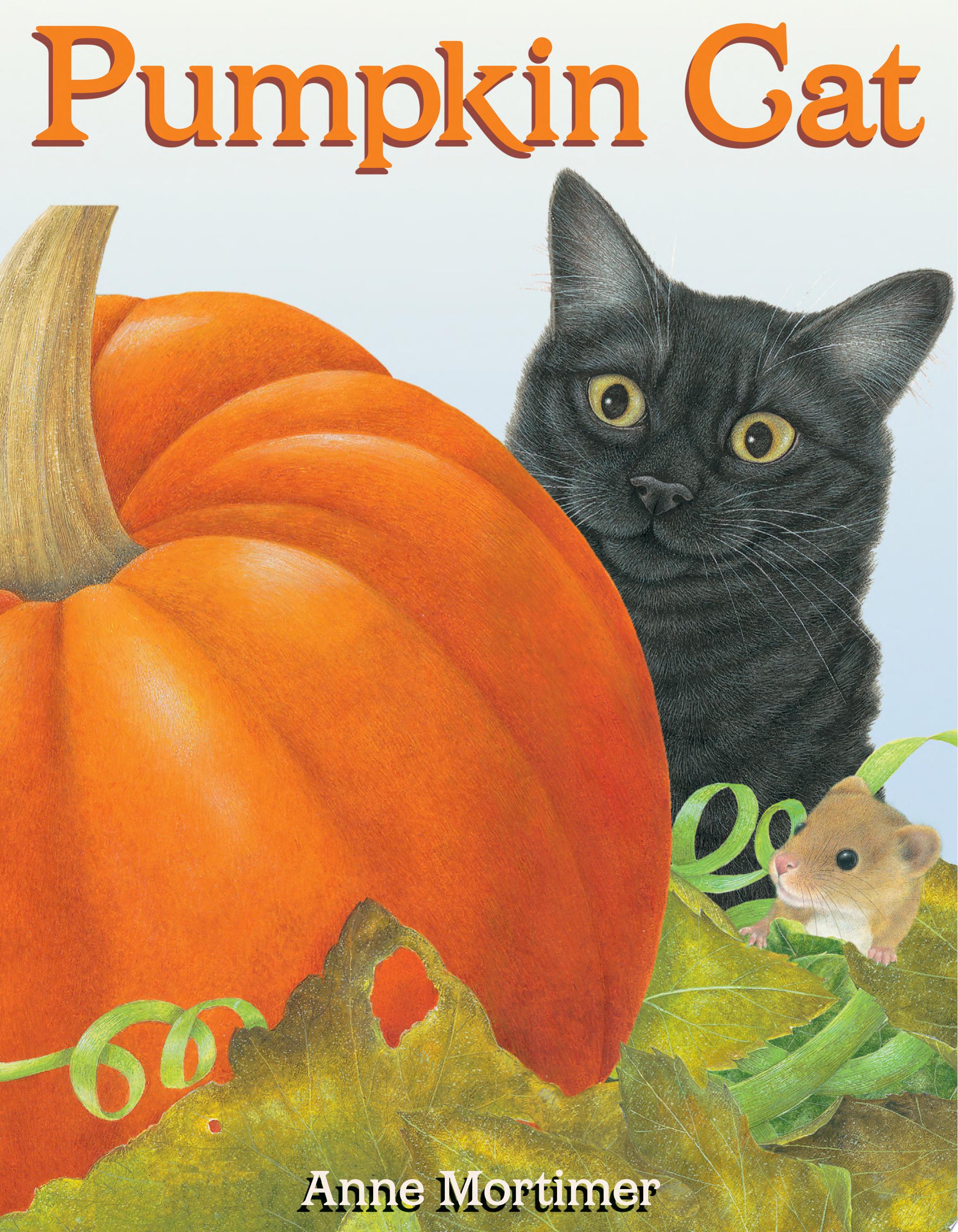 Image for "Pumpkin Cat"