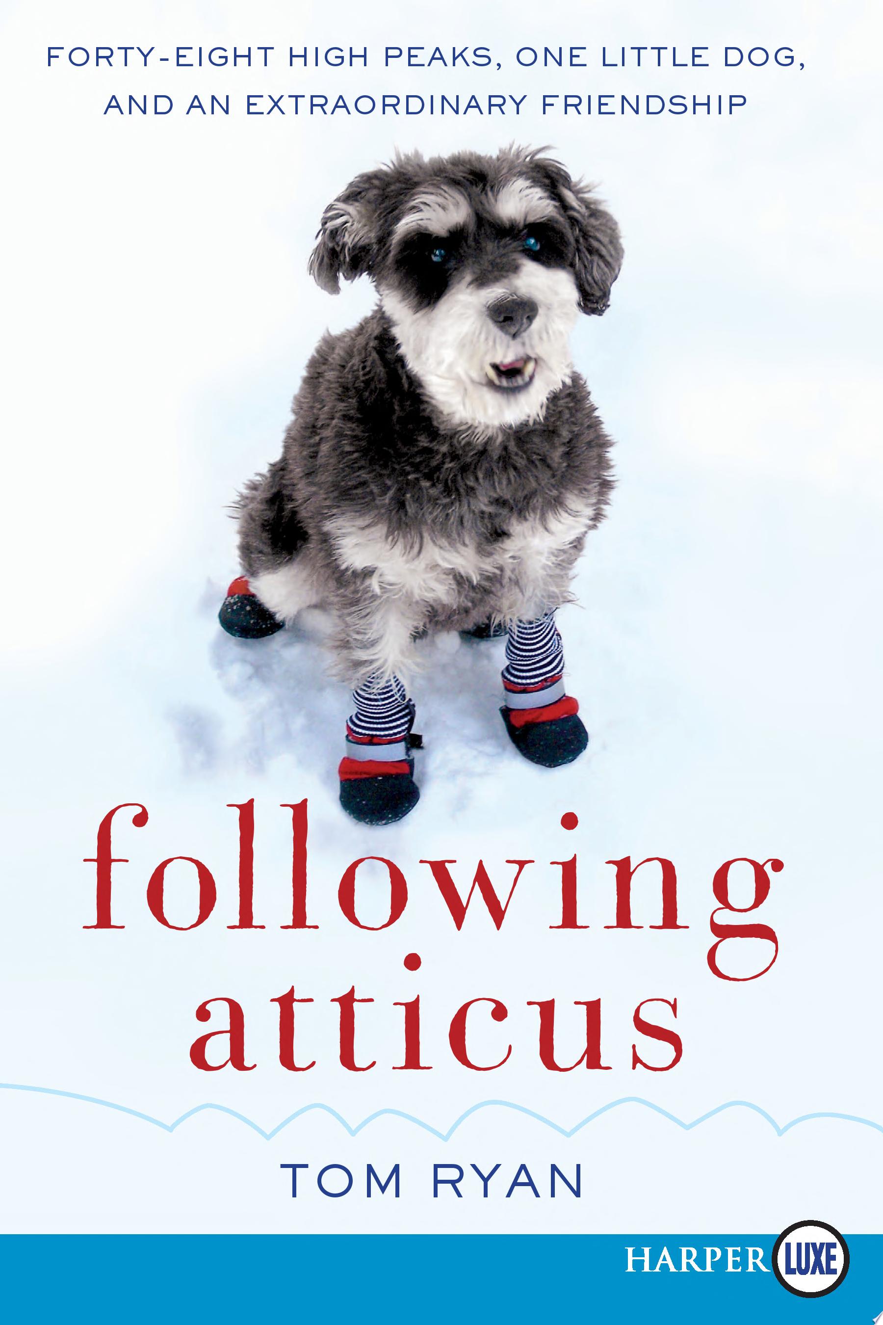 Image for "Following Atticus LP"