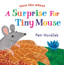 Image for "A Surprise for Tiny Mouse"