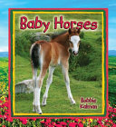Image for "Baby Horses"
