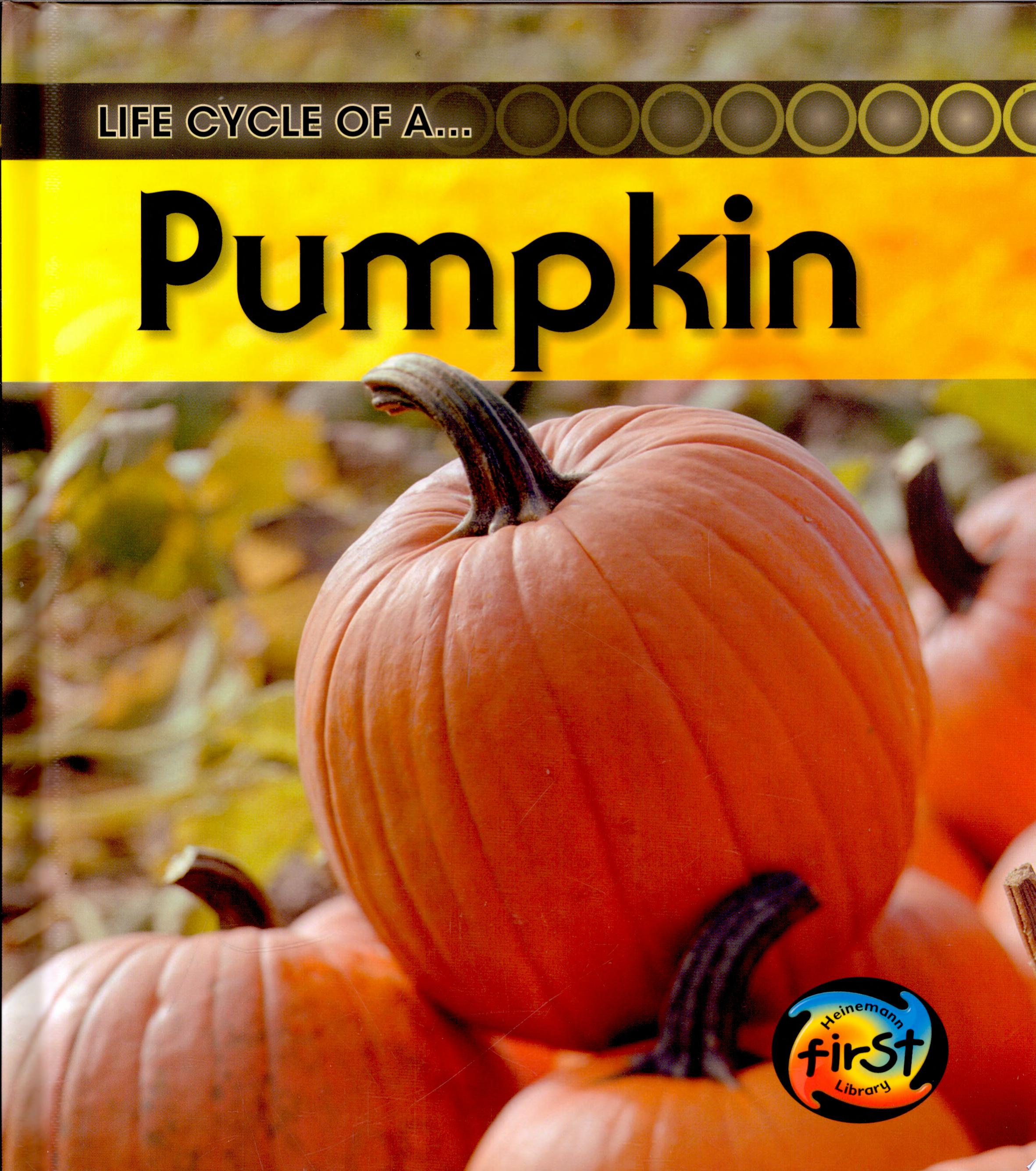 Image for "Pumpkin"