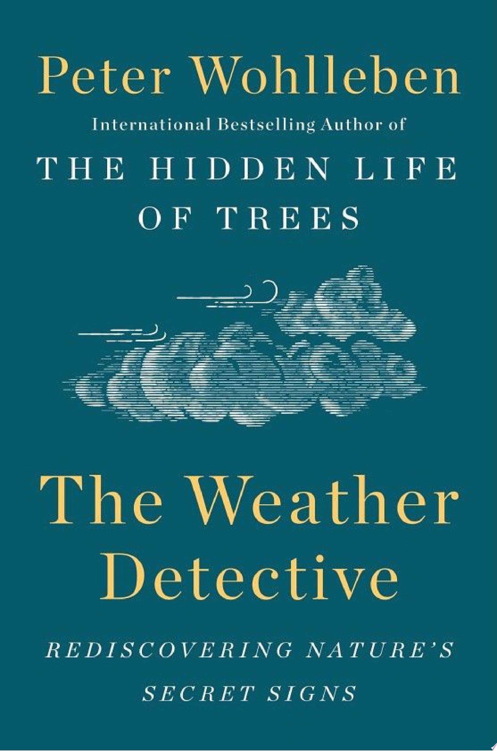 Image for "The Weather Detective"