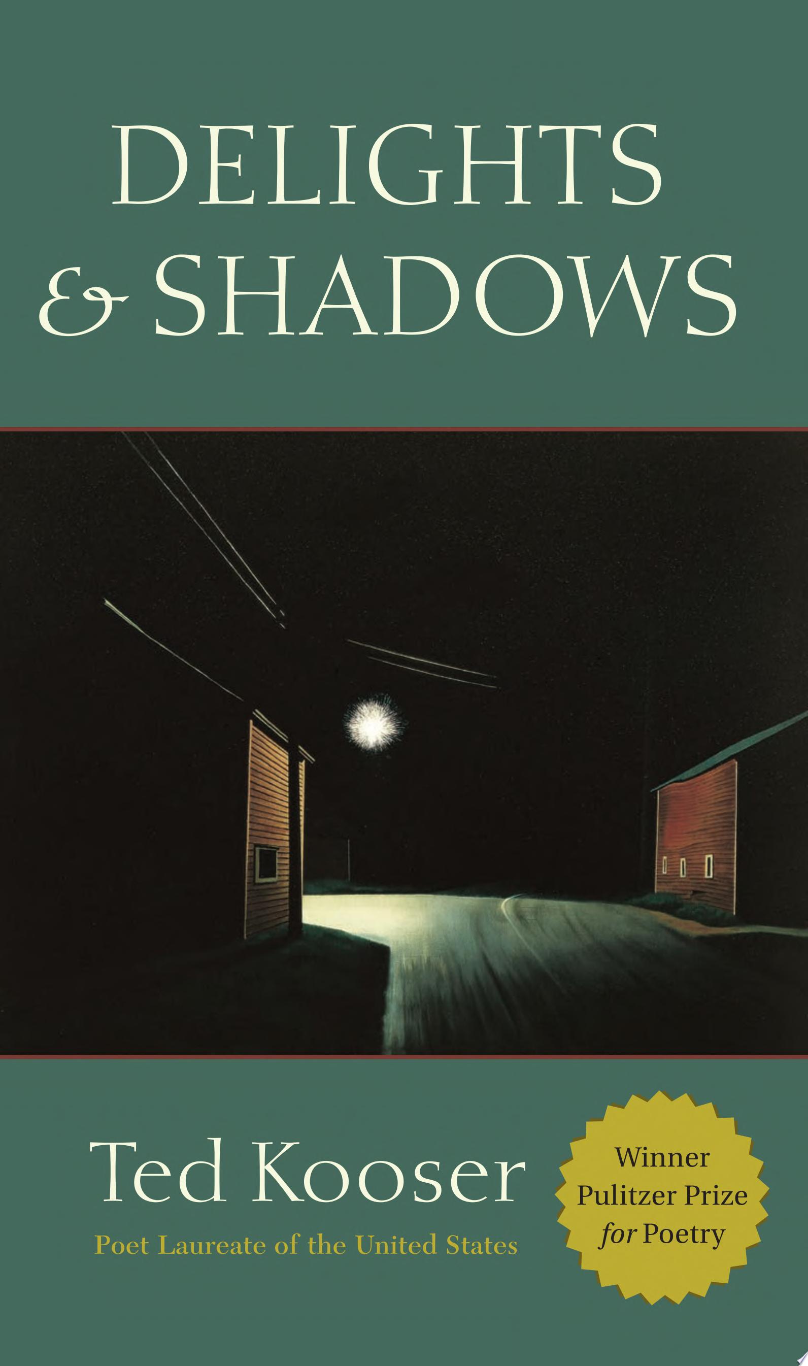 Image for "Delights & Shadows"