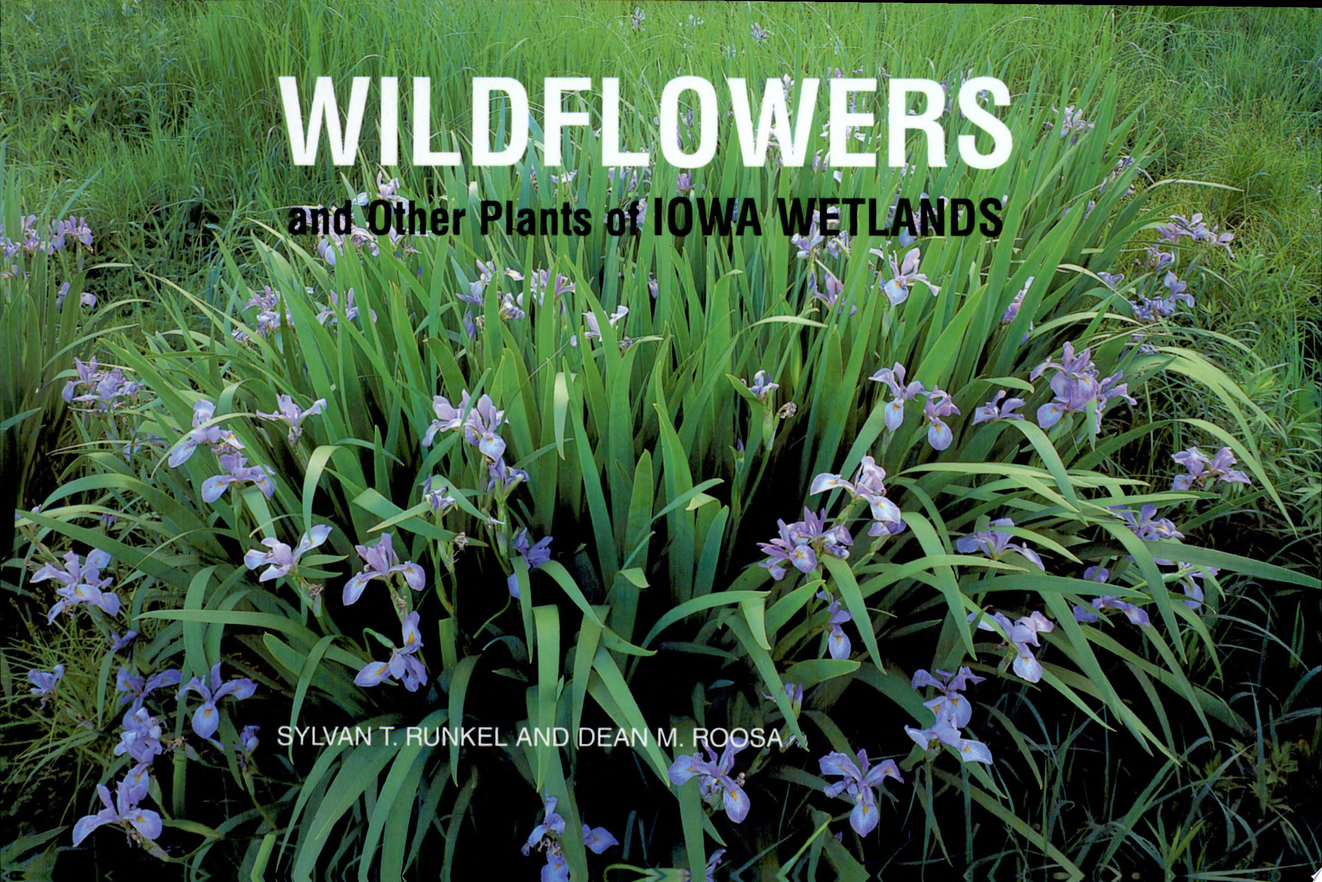 Image for "Wildflowers and Other Plants of Iowa Wetlands"
