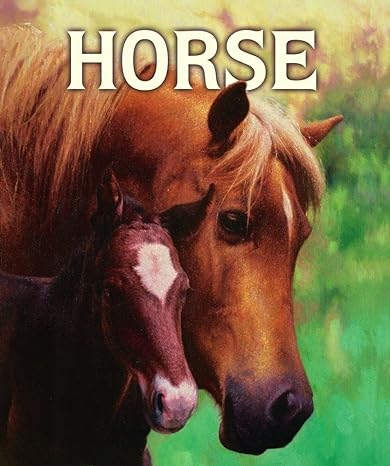 Image for "Horse"
