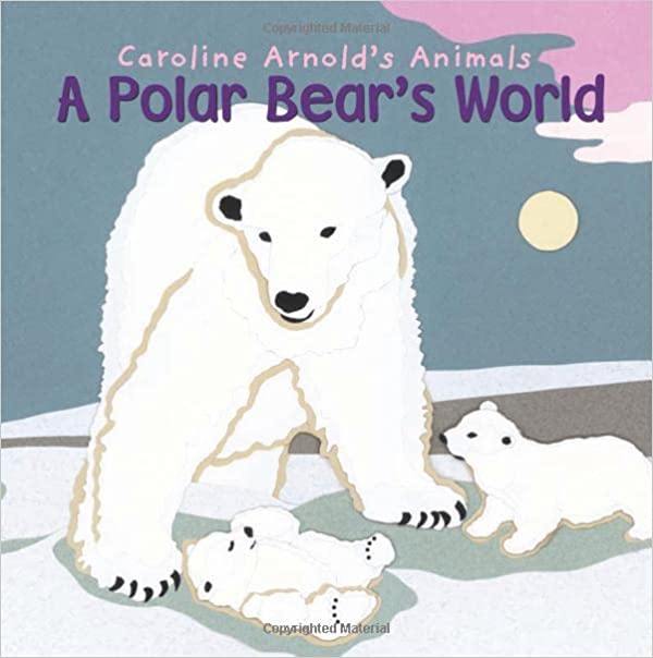 Image for "A Polar Bear's World"
