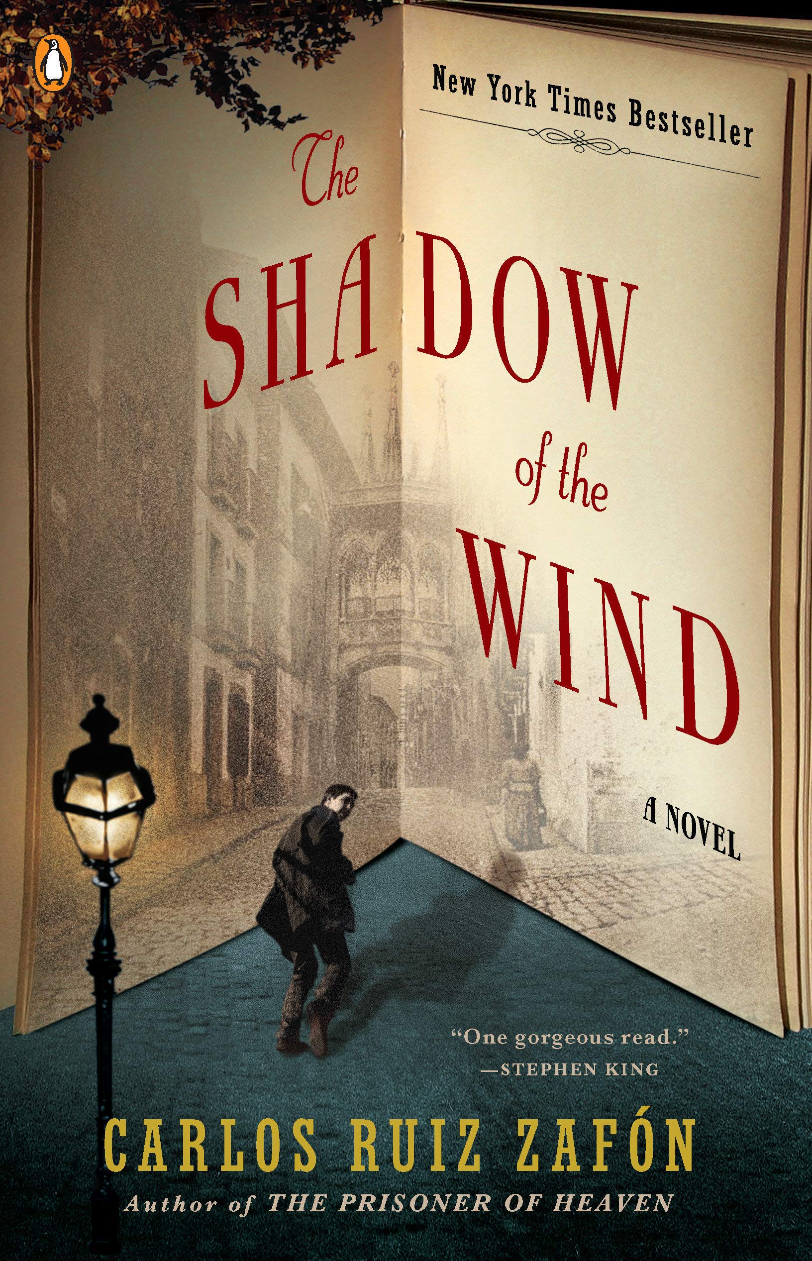 Cover image for shadow of the wind