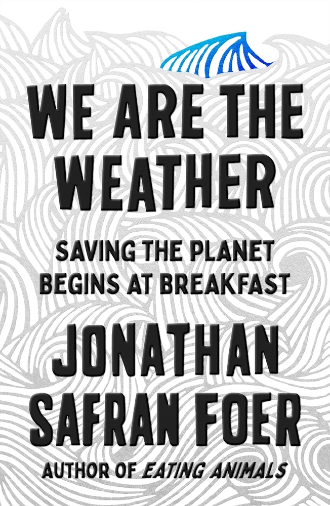 Cover image for "we are the weather"