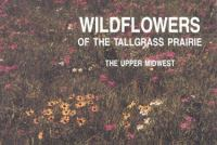 Cover image "Wildflowers"