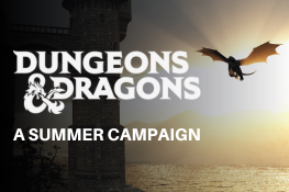 Dungeons & Dragons: A Summer Campaign