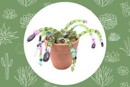 Beaded Succulent Example