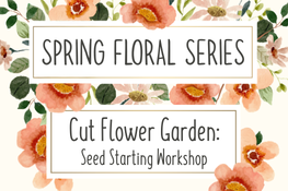 Cut Flower Garden: Seed Starting Workshop