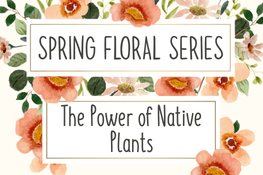 The Power of Native Plants with the Cedar Valley Arboretum & Botanic Gardens