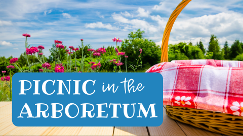 A picnic basket sits on a table in front of a field of flowers. Text says "PICNIC in the ARBORETUM".