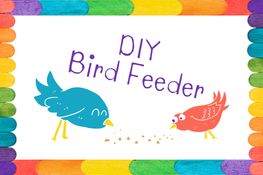 Text reads "DIY Bird Feeder". Colorful birds eat birdseed within a border of bright popsicle sticks.