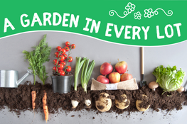 A Garden in Every Lot