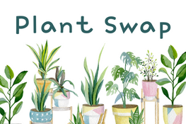 Spring Plant Swap