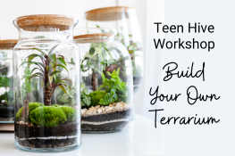 Build Your Own Terrarium