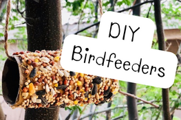 DIY Birdfeeders