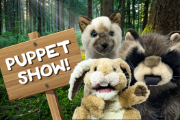 Puppet Show
