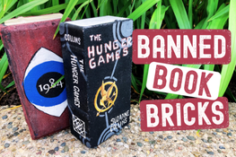 Banned Book Bricks